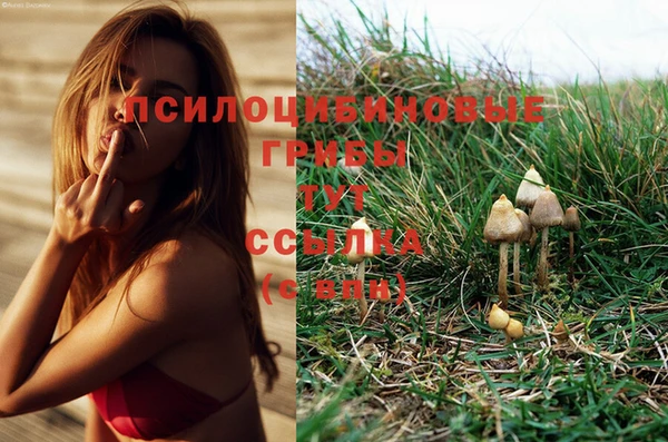 прущие крисы Абаза