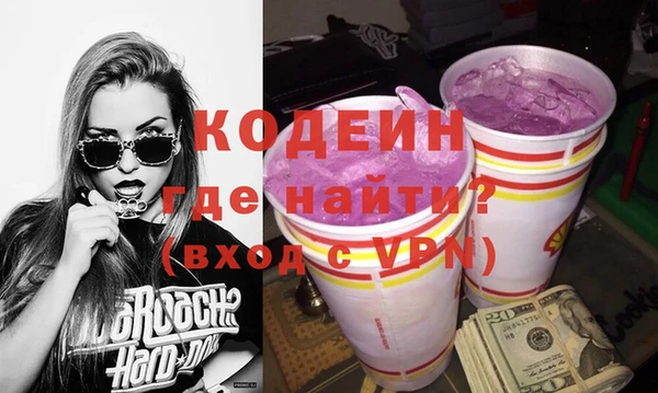 МДПВ Пересвет