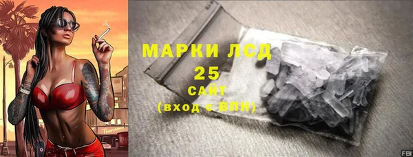 МДПВ Пересвет