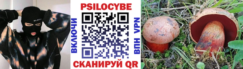 Галлюциногенные грибы прущие грибы  Гаврилов Посад 